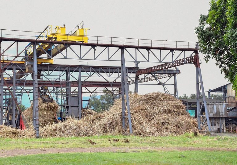 Beyond-Sugar-Value-From-Molasses-and-Bagasse