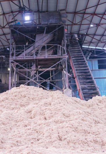 Sugarcane-Bagasse