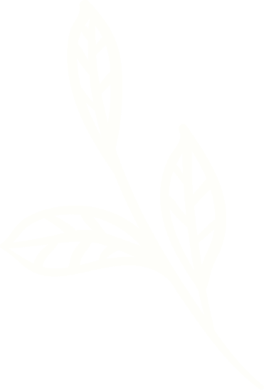 banner-leaf-left